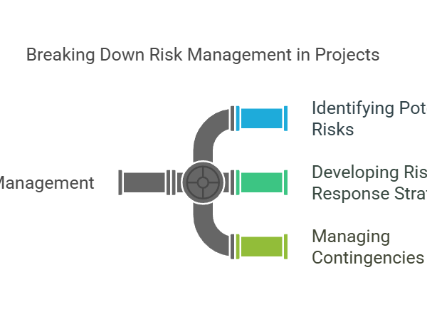 Risk Management and Problem-Solving